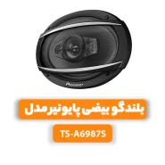 بلندگو بیضی پایونیر مدل TS-A6987S